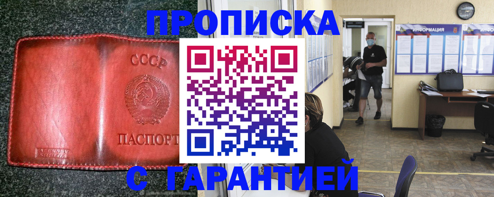 прописка гарантия в Тереке